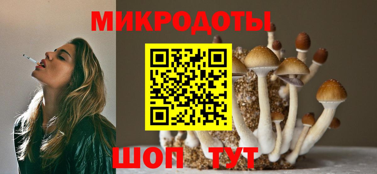 Галлюциногенные грибы мухоморы  Псилоцибиновые грибы Magic Shrooms  наркотики  Кимовск  Вход с VPN 