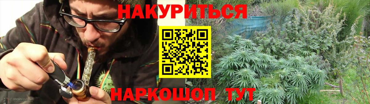 Шишки марихуана семена  Вход с VPN  Кимовск  Конопля планчик 